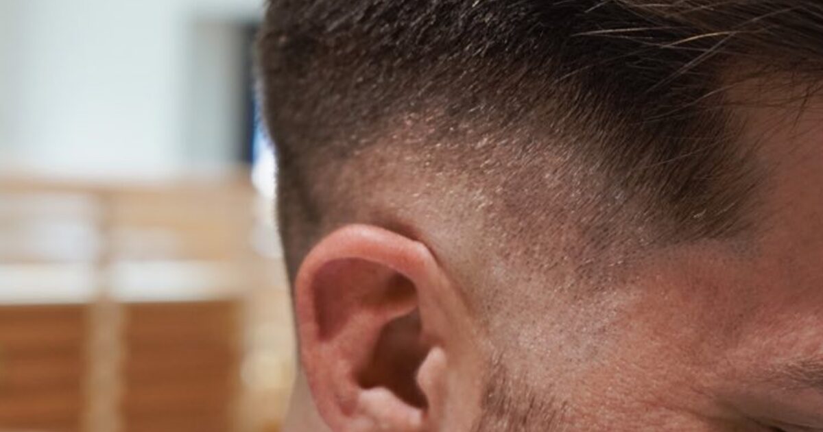 Fade Haircuts Explained: Low, Mid, High, Skin and Taper